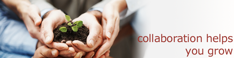 iFactum - Collaboration helps you grow